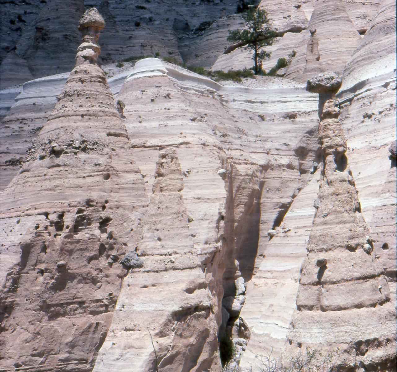 Valles Caldera, Jemez Volcanic Field | New Mexico Museum of